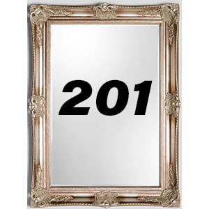 Mirror Code 201