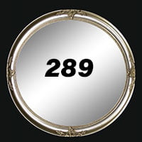 Mirror Code 289