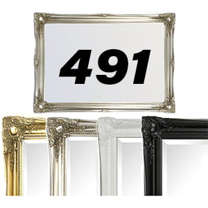 Mirror Code 491